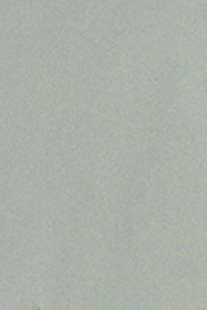 Miniatura 10