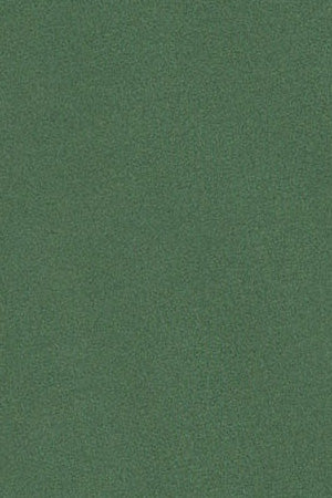 Miniatura 10