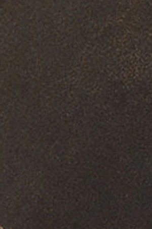 Miniatura 10